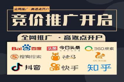 解析sem代运营公司经典案例：如何实现ROI最大化